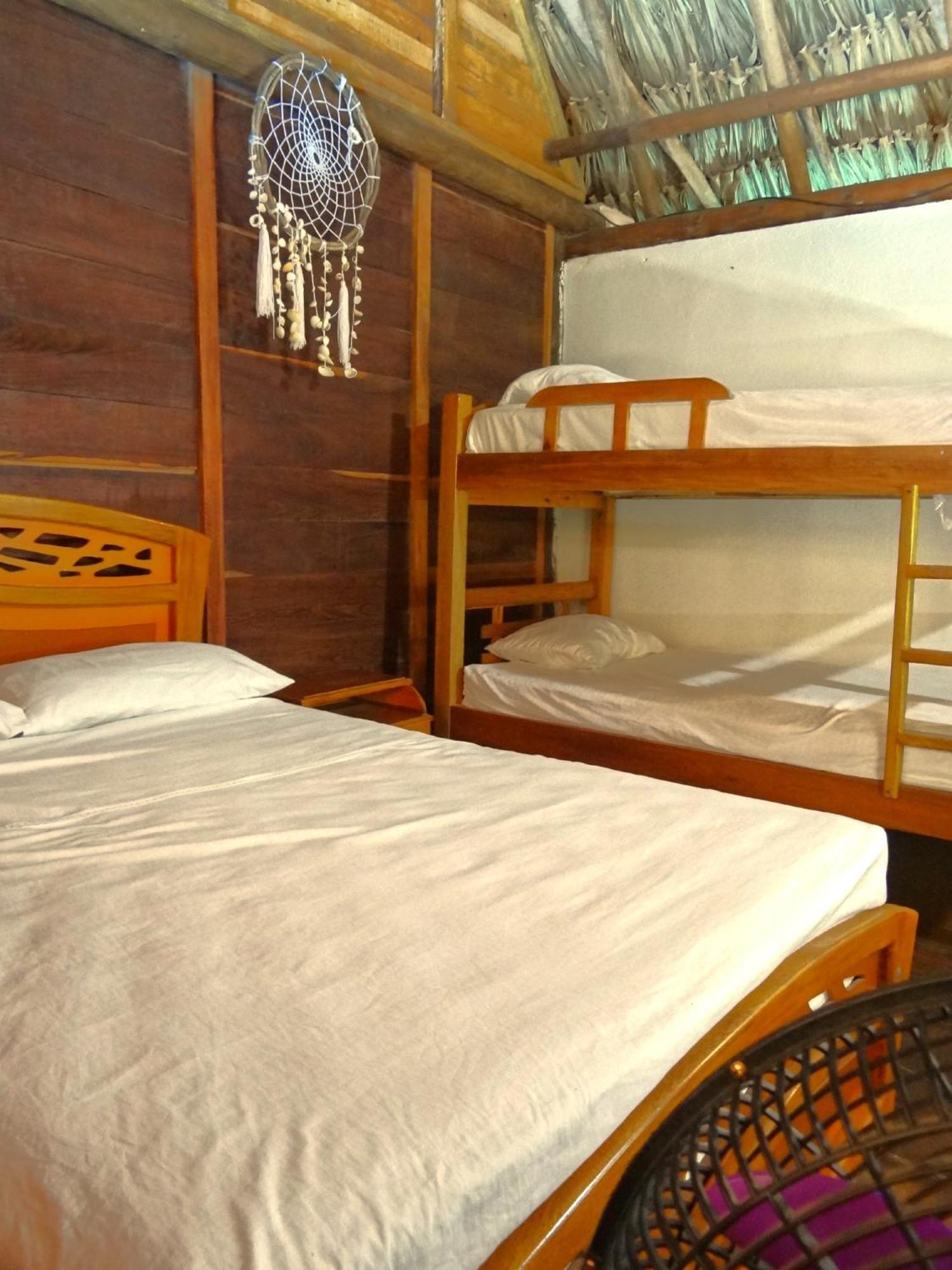Prima Luna Palomino Ngoại thất bức ảnh