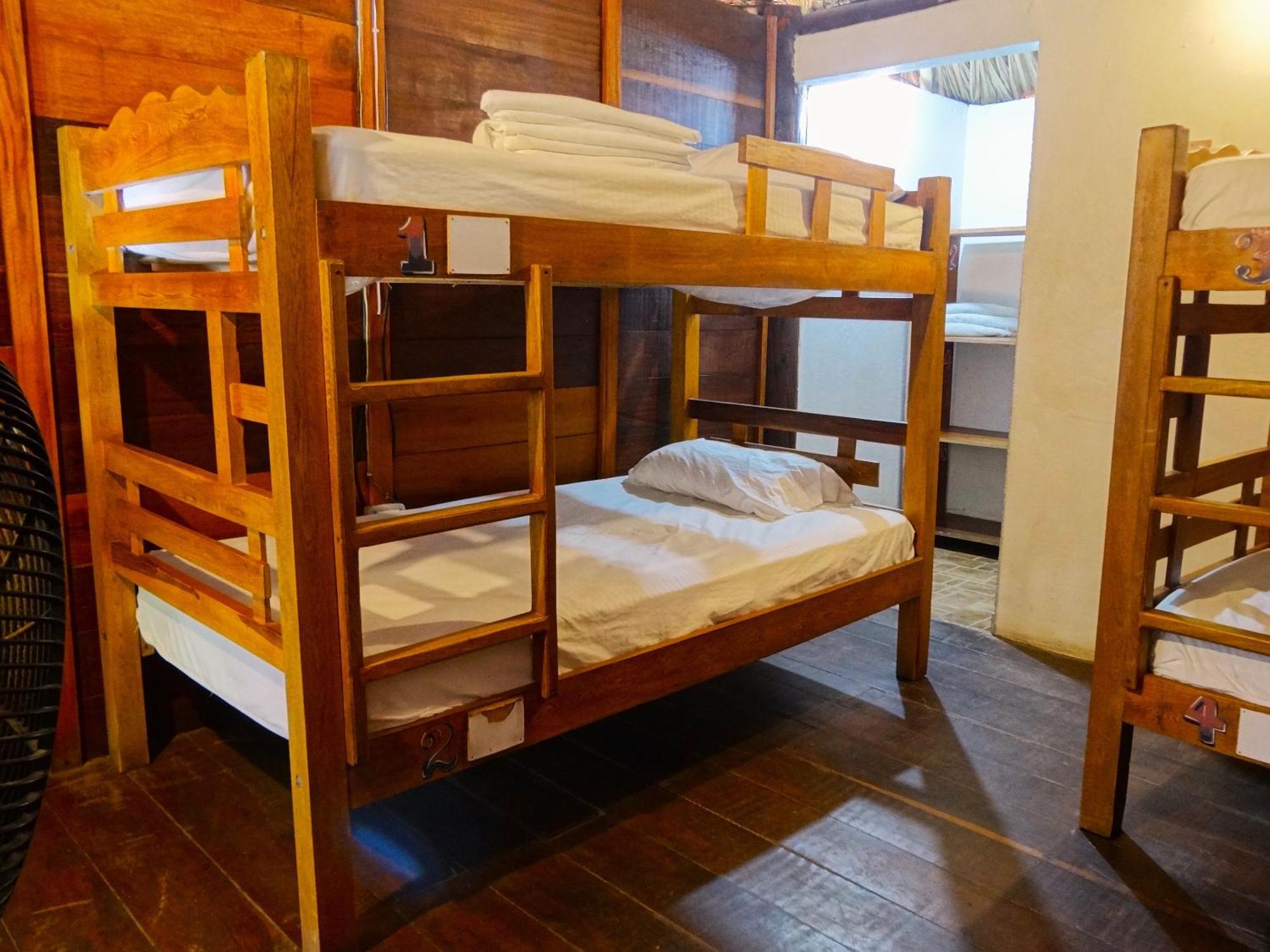 Prima Luna Palomino Ngoại thất bức ảnh