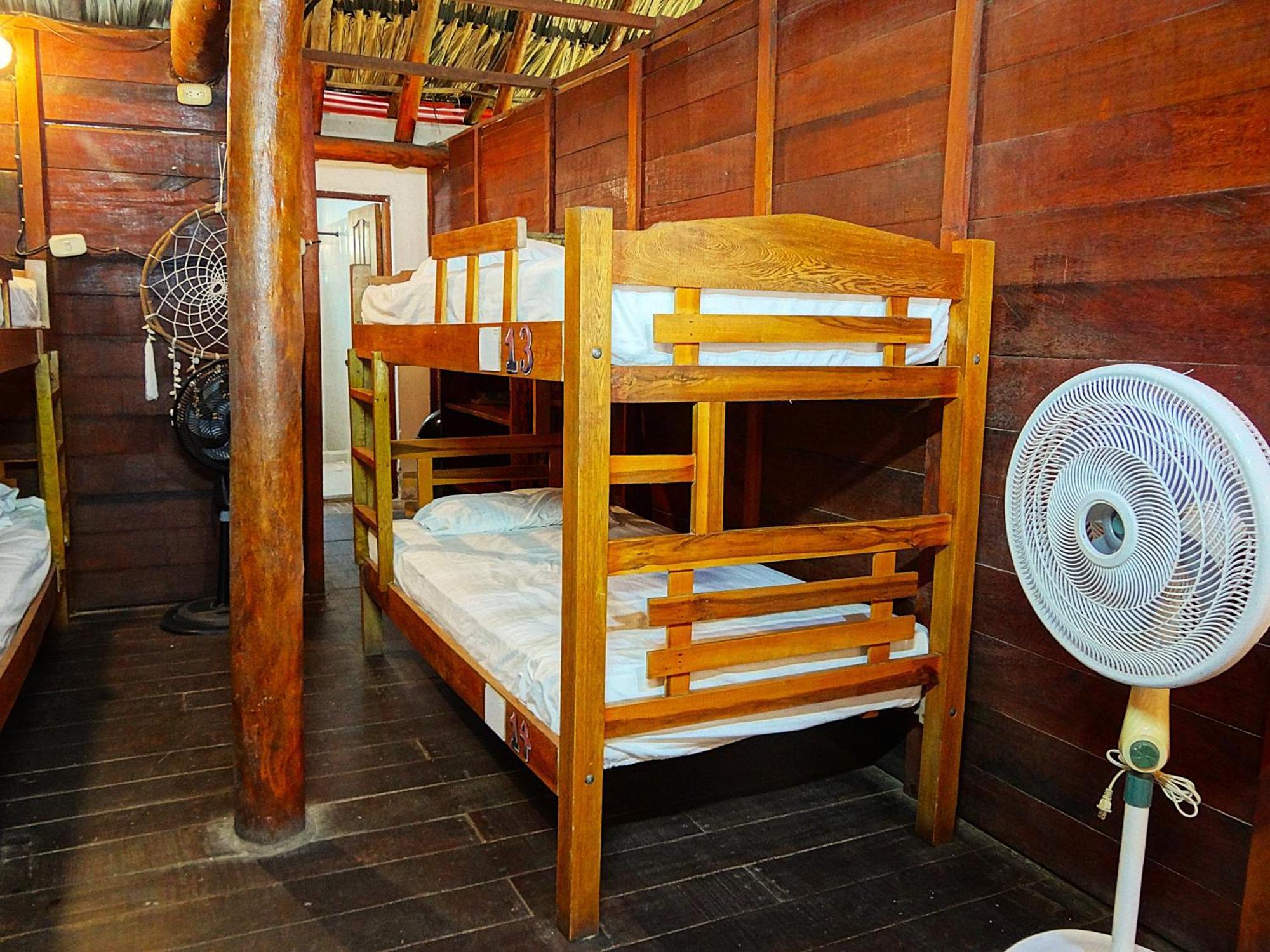 Prima Luna Palomino Ngoại thất bức ảnh